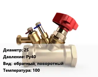 Клапан латунный 25 Ру40 обратный, поворотный 100